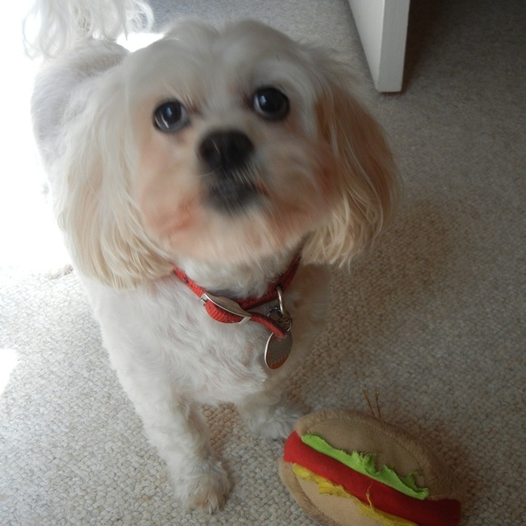 Meet your Posher, Jean - Picture 1 of 1